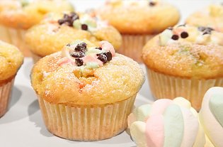 Schoko- Marshmallow- Muffin